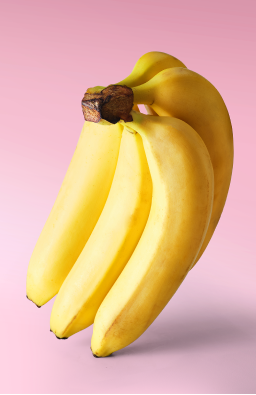 picnic-product-image